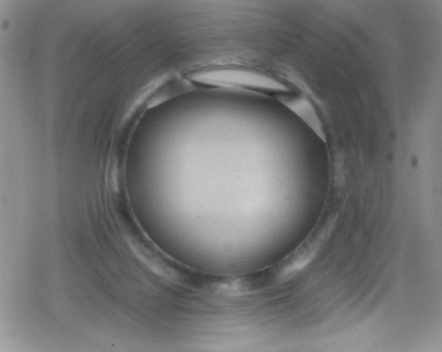 X0000079340068200612082035