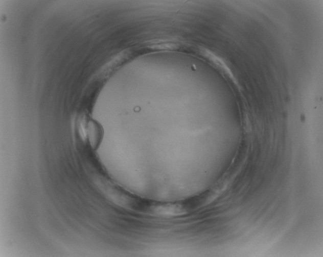 X0000079340069200612082035