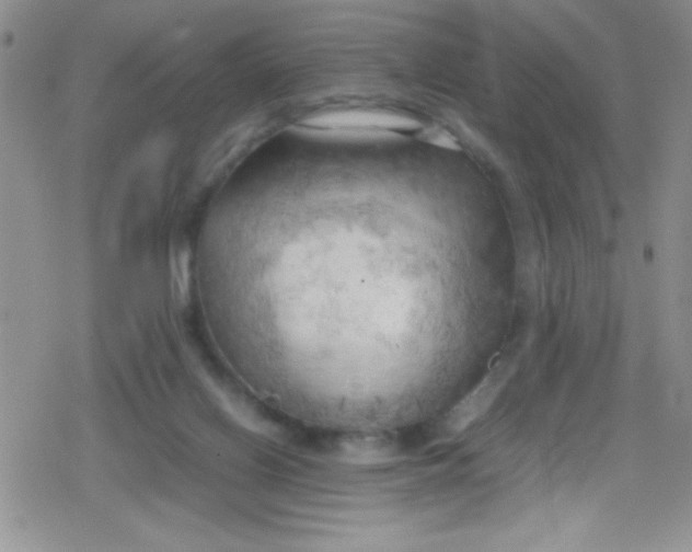 X0000079340070200612082035