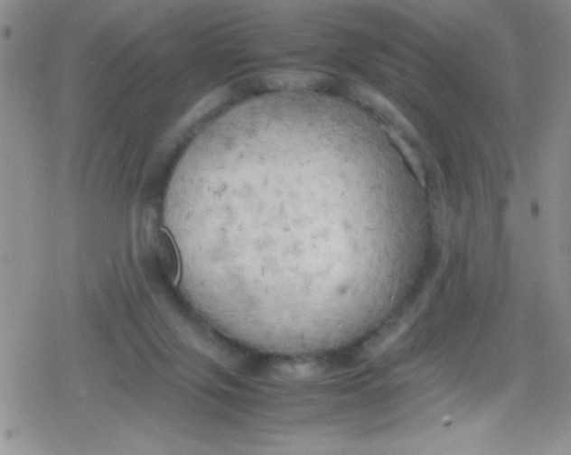 X0000079340071200612082035