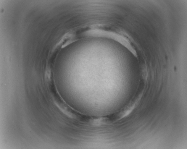 X0000079340072200612082035