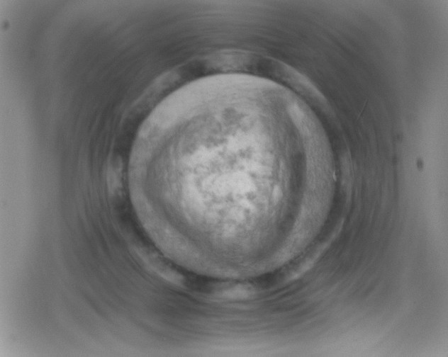 X0000079340073200612082035