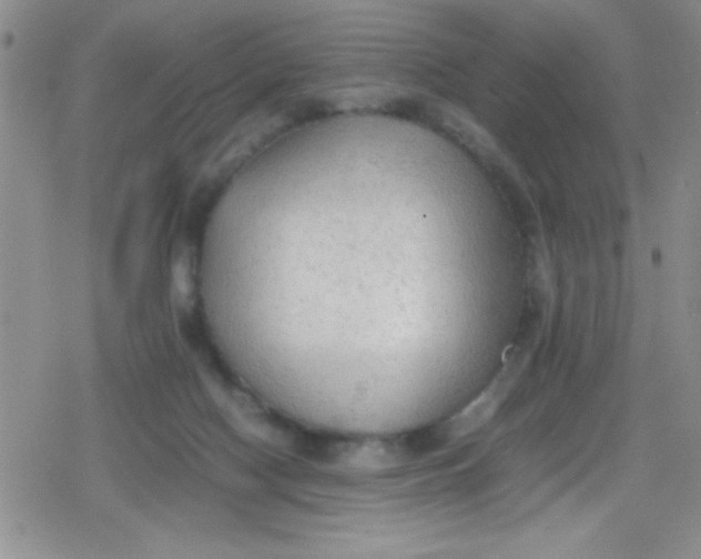 X0000079340074200612082035