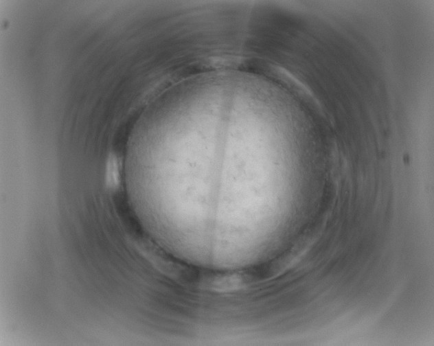 X0000079340075200612082035