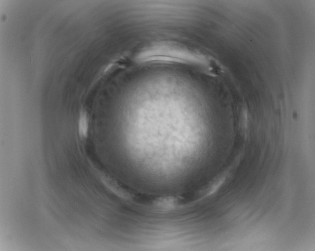 X0000079340076200612082035