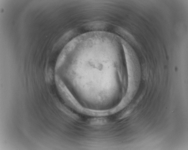 X0000079340077200612082035