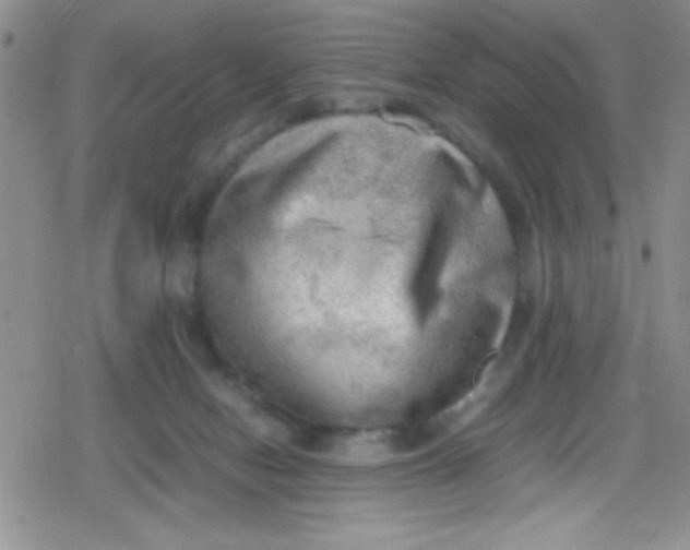 X0000079340078200612082035