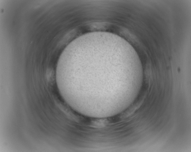 X0000079340079200612082035