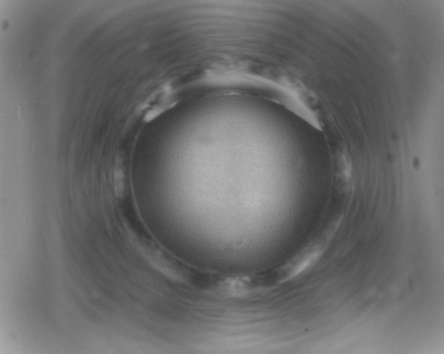 X0000079340080200612082035