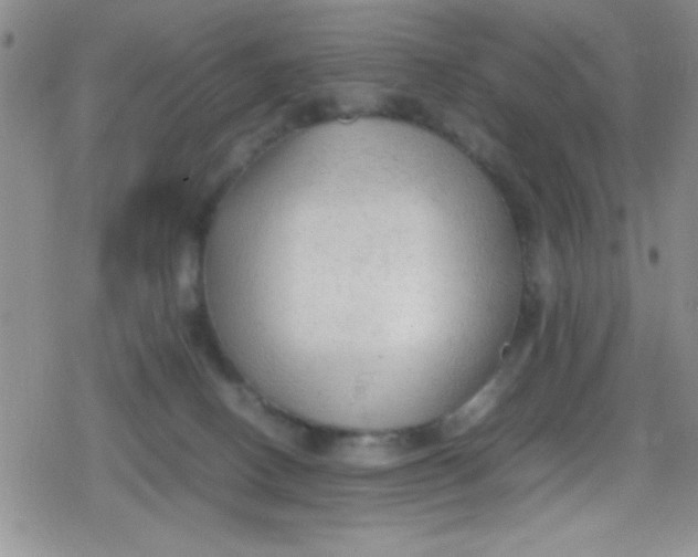 X0000079340082200612082035