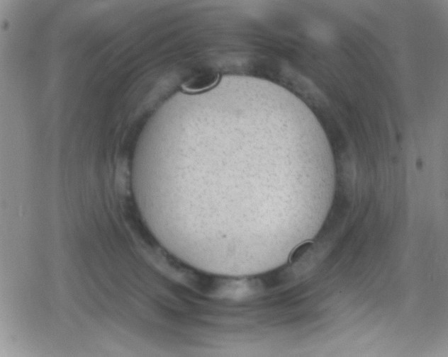 X0000079340083200612082035