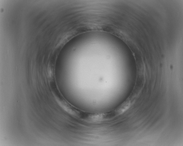 X0000079340084200612082035