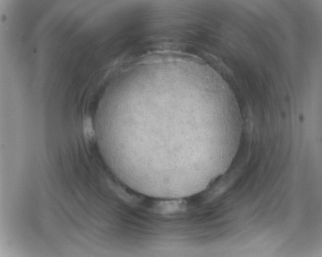 X0000079340089200612082035