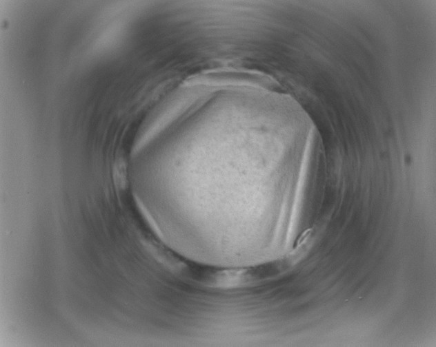 X0000079340090200612082035