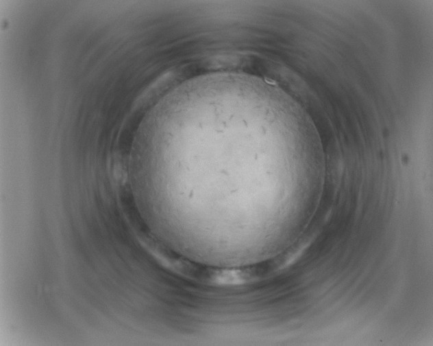 X0000079340091200612082035