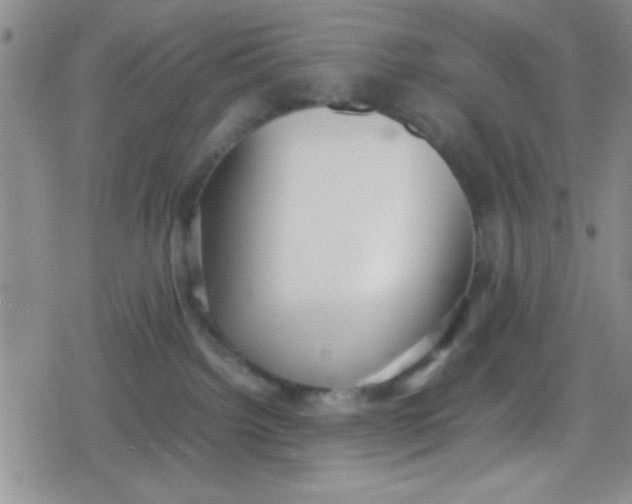 X0000079340092200612082035