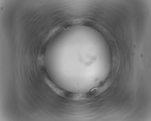 X0000079340096200612082035