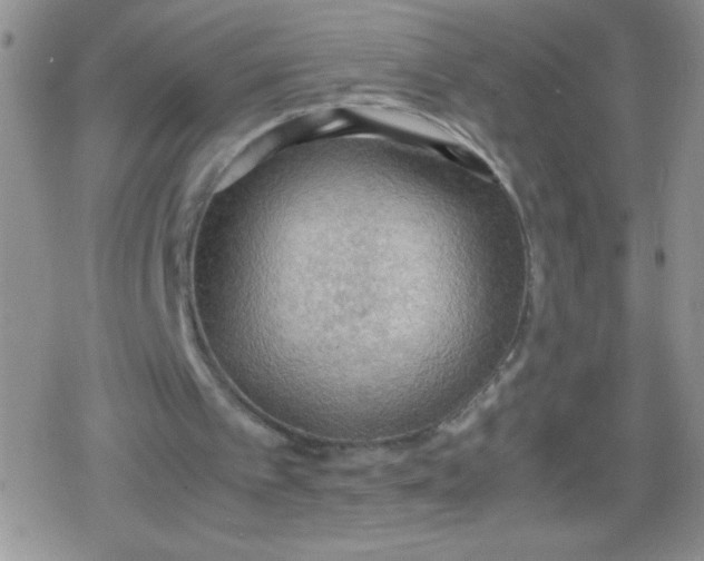 X0000079340097200612082034