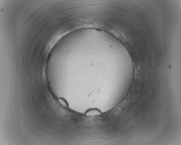 X0000079340098200612082034