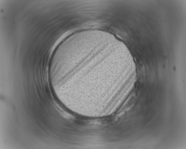 X0000079340100200612082034