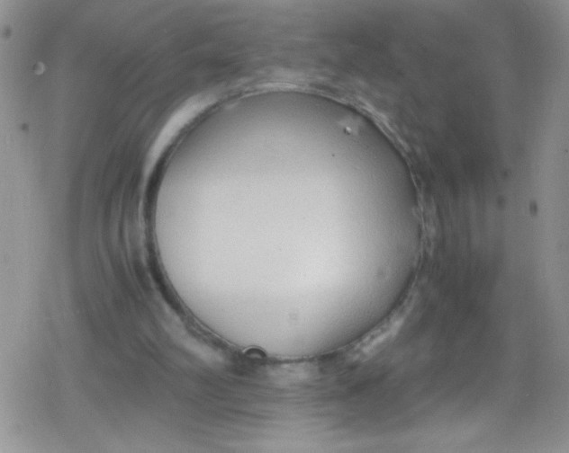 X0000079340102200612082034