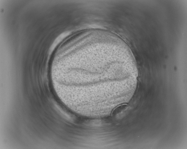 X0000079340104200612082034