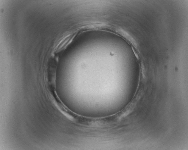 X0000079340105200612082034