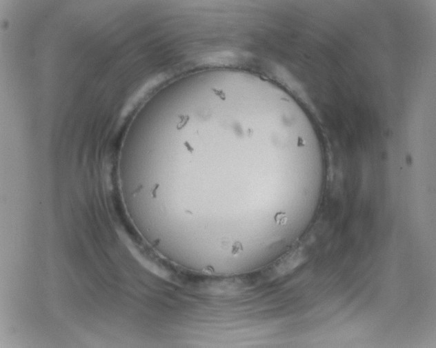 X0000079340106200612082034