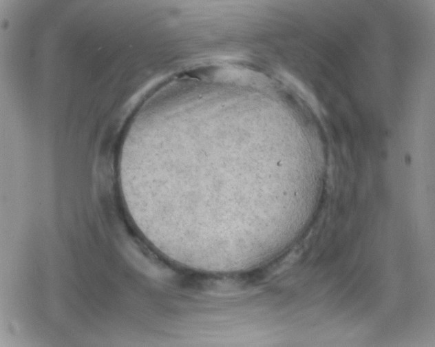 X0000079340107200612082034