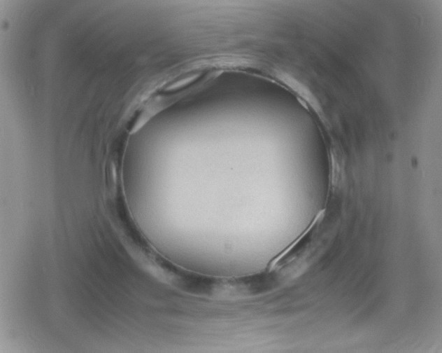 X0000079340109200612082034