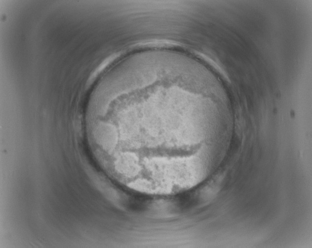 X0000079340111200612082034