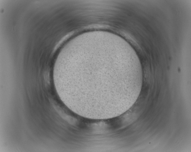 X0000079340112200612082034