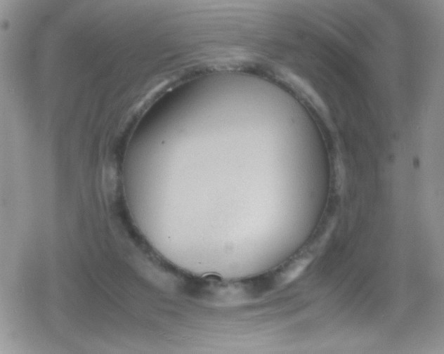 X0000079340113200612082034