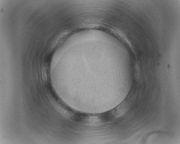 X0000079340114200612082034