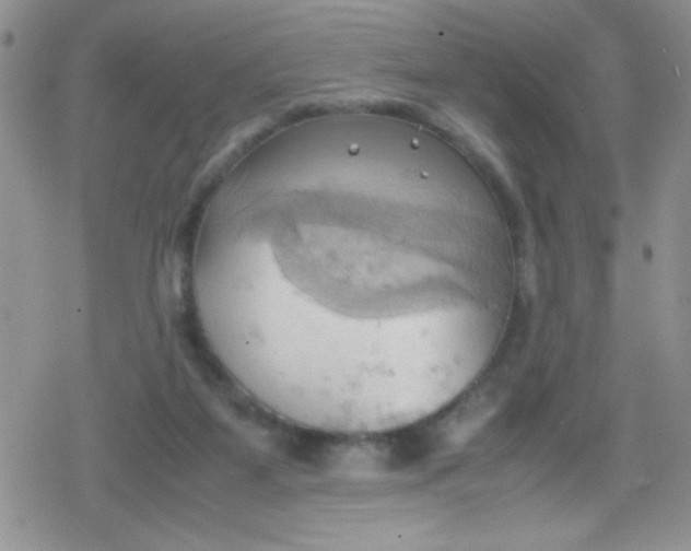 X0000079340115200612082034