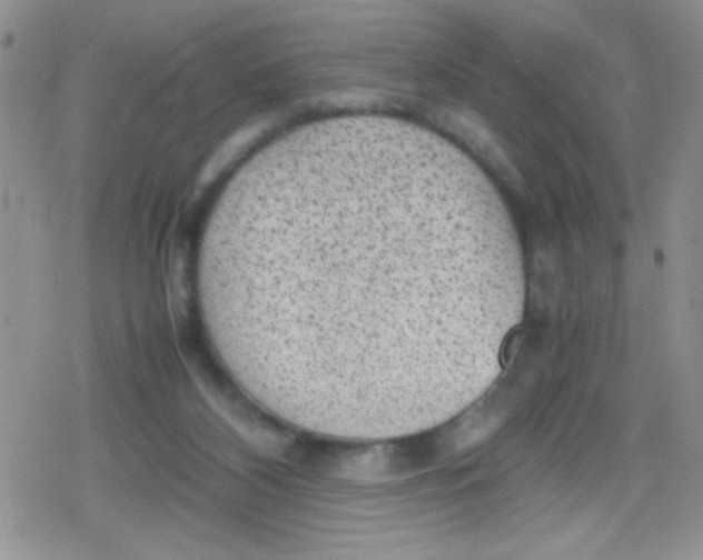 X0000079340116200612082034