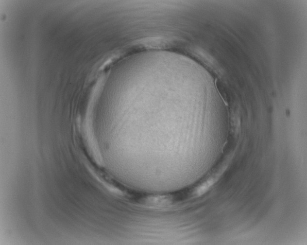 X0000079340117200612082034