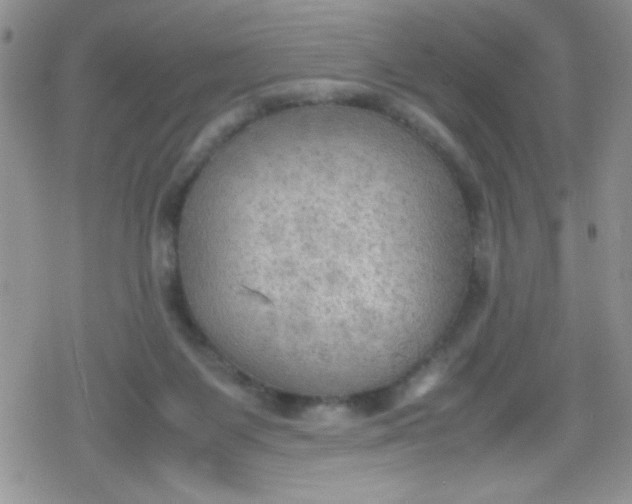 X0000079340119200612082034