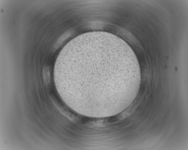 X0000079340120200612082034