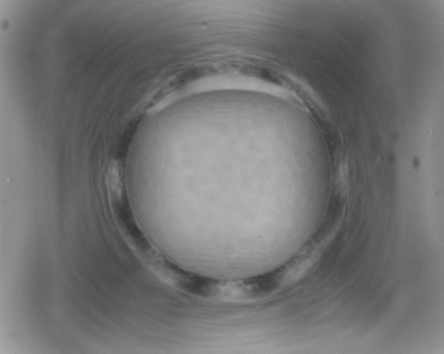 X0000079340121200612082034