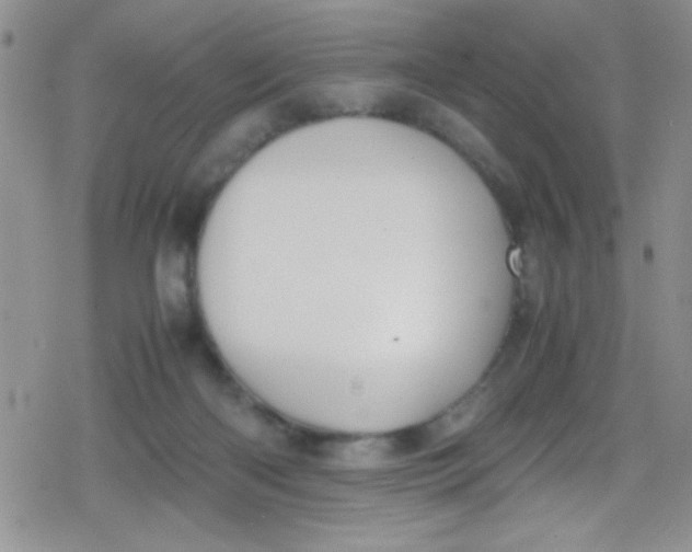 X0000079340122200612082034