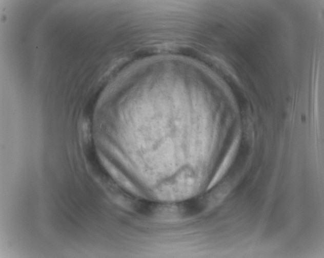 X0000079340123200612082034