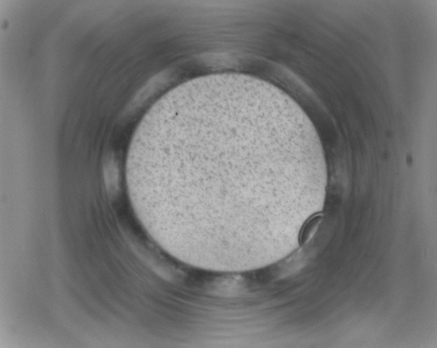 X0000079340124200612082034