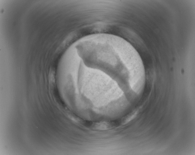 X0000079340127200612082034