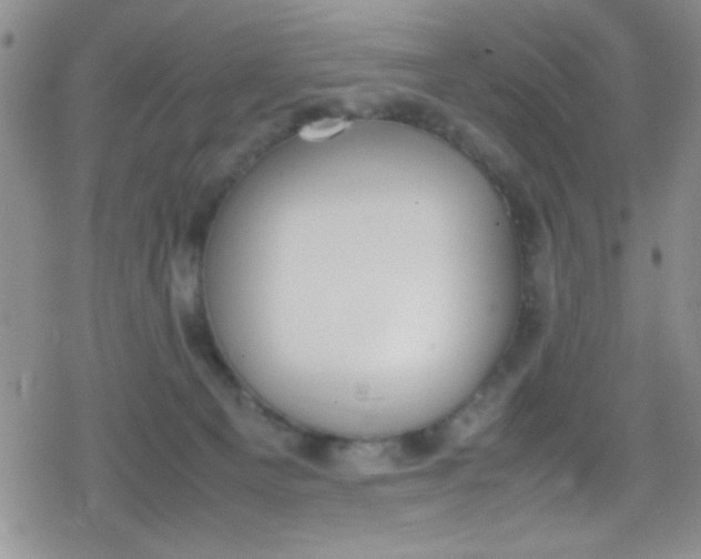 X0000079340129200612082034