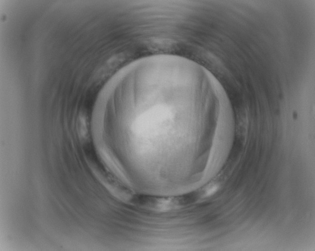 X0000079340130200612082034