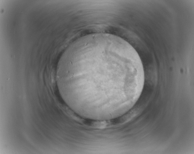 X0000079340131200612082034