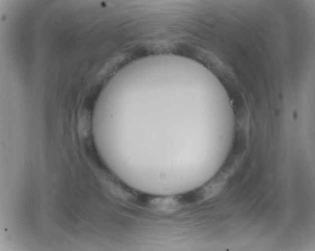 X0000079340133200612082034