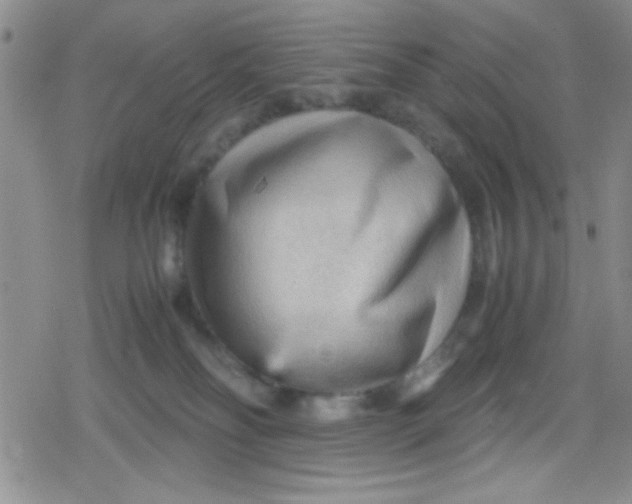 X0000079340134200612082034