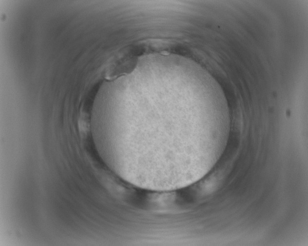 X0000079340135200612082034